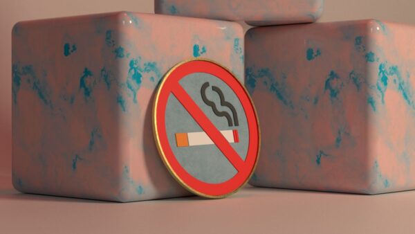 محصول 2